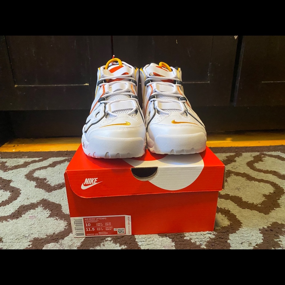 Air Moore Uptempo “Rosewell Raygun”